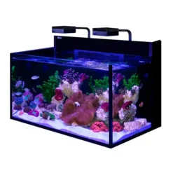 Aquarium marin Max Nano G2 XXL + Meuble Blanc - RED SEA AQUARIUM - 200L