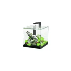 Aquarium équipé Kubus - 54L