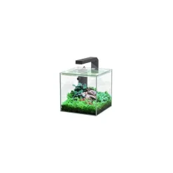 Aquarium équipé Nano - 22L