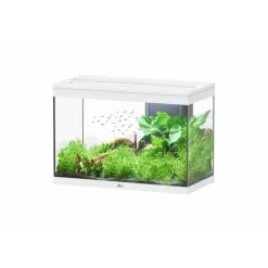 Aquarium Splendid blanc équipé de LED - 80 x 40 x 56 cm