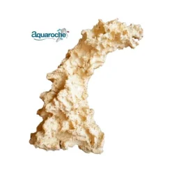 Aquascaping Arche Inclinable 48x23x48 cm