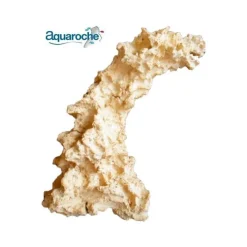 Aquascaping Arche Inclinable 38x19x38 cm