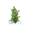 Arbre vert en plastique grand modèle 38 cm