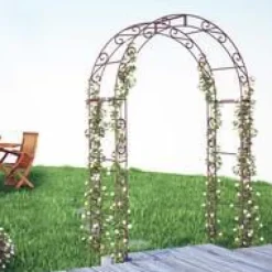 Arche à volute arrondie en acier marron Vitis in Situ - 1,42 x 2,24 cm