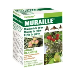 Argile Blanche 1 kg 6x16x21 cm