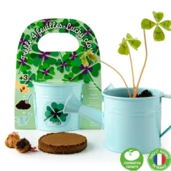 Arrosoir en zinc bleu avec trèfle 4 feuilles