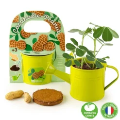 Arrosoir en zinc vert avec graines de cacahuètes Radis et Capucine