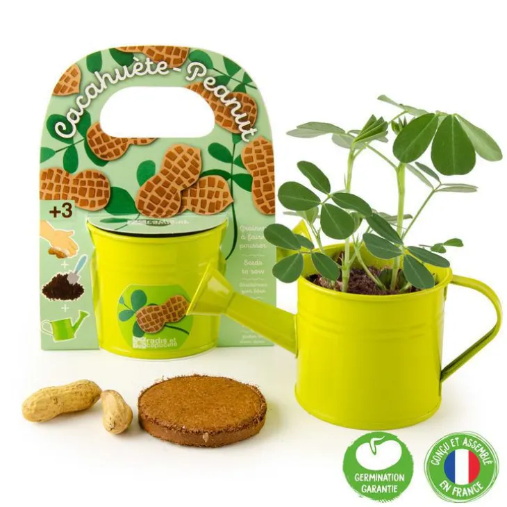 Arrosoir en zinc vert avec graines de cacahuètes Radis et Capucine