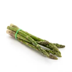 Asperge verte bio d'Espagne - Botte de 250g