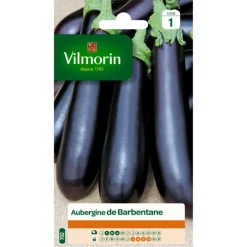 Aubergine de Barbentane Vilmorin - graines à semer