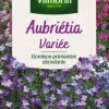 Aubrétia Variée Vilmorin - graines à semer