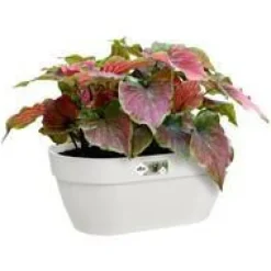 Bac mural en plastique recyclé blanc Soie Elho Vibia Campana - 35 x 16,2 x 14,8 cm