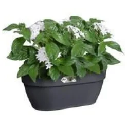 Bac mural en plastique recyclé gris anthracite Elho Vibia Campana - 35 x 16,2 x 14,8 cm