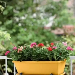 Balconnière en polypropylène jaune miel Elho Barcelona - 69,8 x 19 x 16 cm