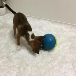 Balle distributeur de friandises pour chien coloris multicolore Nina Ottosson - Taille S/M