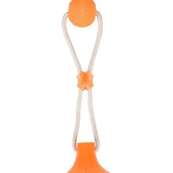 Balle pour chien avec ventouse orange Flamingo
