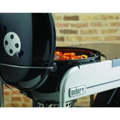 Barbecue Performer Premium D.57– charbon – 10 p