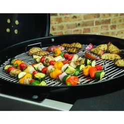 Barbecue Performer Premium D.57– charbon – 10 p