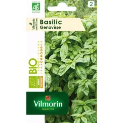 Basilic Genovèse Bio Vilmorin - graines à semer