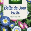 Belle de jour Variée Vilmorin - graines à semer