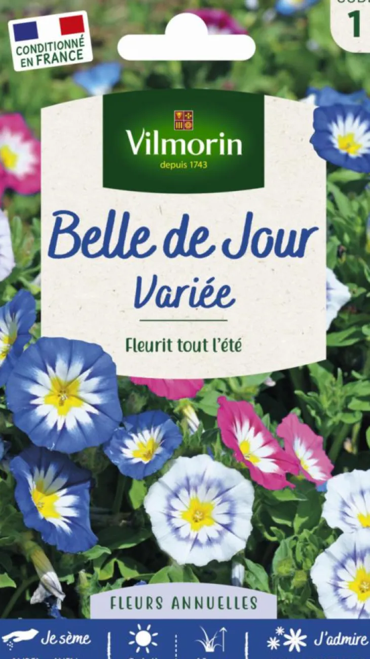 Belle de jour Variée Vilmorin - graines à semer
