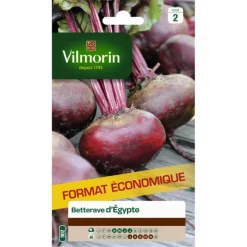Betterave d'Égypte Vilmorin - graines à semer