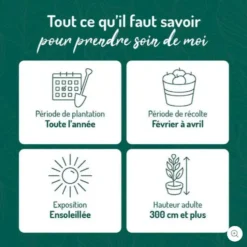 Bigaradier Bio. Le pot de 3 litres