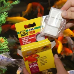 Bloc de nourriture pour poisson rouges JBL Pronovo red Holiday – Les 3 pièces