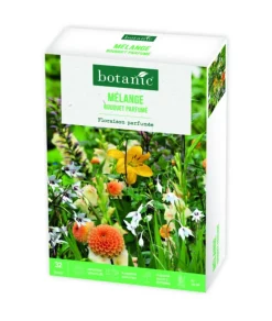Boite de bulbes de fleurs en mélange bouquet parfumé botanic® – 32 bulbes