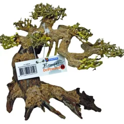 Bonsaï M Bois 24x16x20 cm