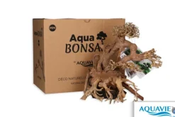Bonsaï pour aquascaping coloris marron Aquavie - 24 x 20 x 16 cm