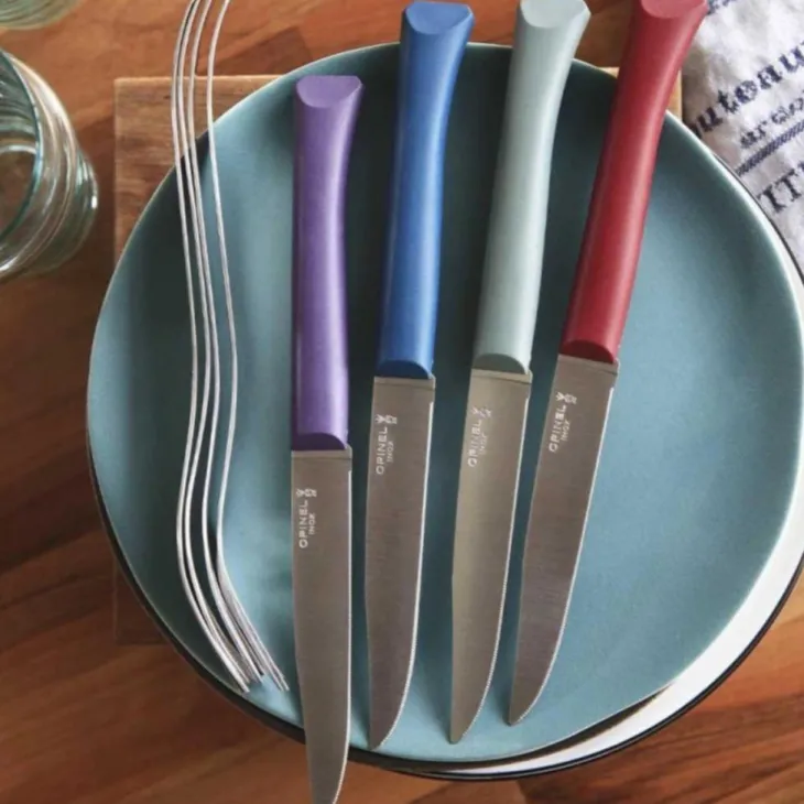 Boîte de 4 couteaux de table coloris multicolore en plastique et inox Opinel - 257 x 54 x 15 cm