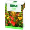Boîte de bulbes de fleurs en mélange balcon et terrasse biodiversité botanic® – 32 bulbes