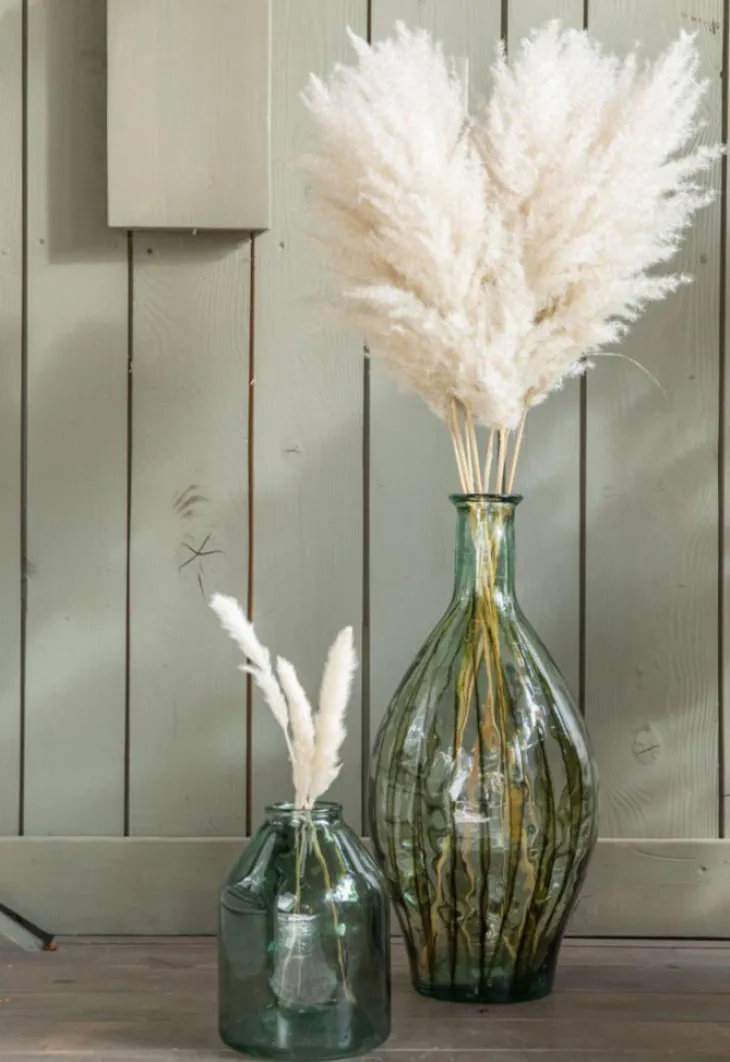 Botte de fleurs séchées Herbes de la Pampa (Cortaderia) blanche Naturalys