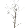 Botte de Salix Tortusa 5 branches - 100/120 cm
