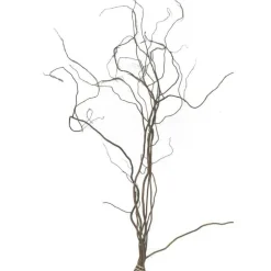 Botte de Salix Tortusa 5 branches - 100/120 cm