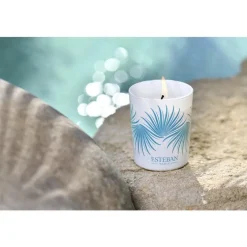 Bougie déco parfumée et rechargeable Ylang-Ylang Esteban - 180 g