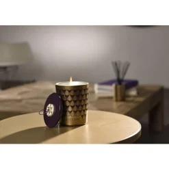 Bougie déco parfumée et rechargeable Figue noire Esteban - 180 g