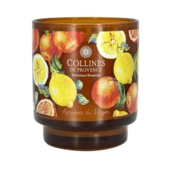 Bougie parfumée en verre décoré senteur Agrumes du Verger Collines de Provence – 220 g