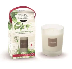 Bougie parfumée Esteban Estivale senteur Citronnelle & menthe - 180 g