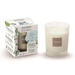 Bougie parfumée rechargeable Blanc coton Esteban - 180 g