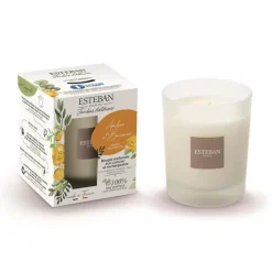Bougie parfumée rechargeable Ambre et Baumes Esteban - 180 g