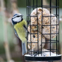 Boules de graisses pour oiseaux de la nature - 100 boules