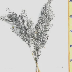 Bouquet de 4 à 5 branches de ruscus (petit-houx) teinté or et argent pour décoration de Noël