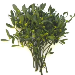 Bouquet de branches de gui vert pour décoration de Noël