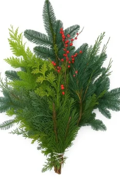 Bouquet de conifères mix avec ilex coloris vert - 5 tiges