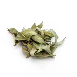 Bouquet de laurier bio de France d'environ 100g- Prix à la pièce