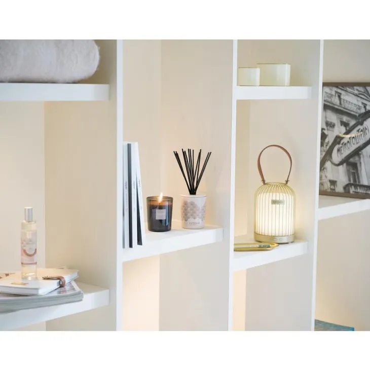 Bouquet parfumé déco et sa recharge Iris cachemire Esteban - 100 ml