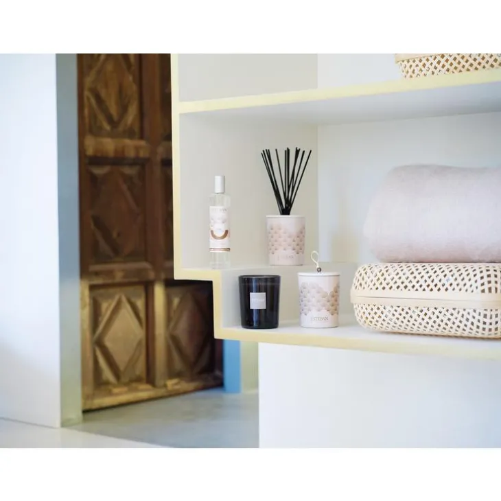 Bouquet parfumé déco et sa recharge Iris cachemire Esteban - 100 ml