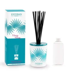 Bouquet parfumé déco et sa recharge Ylang-Ylang Esteban - 100 ml